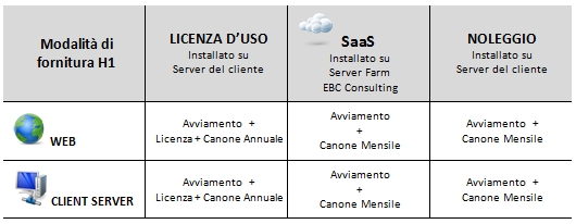 Modalita_di_fornitura_sistemi_software_h1_web_clienteserver