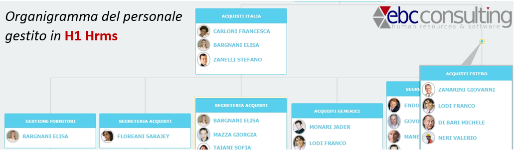 Modello di organigramma aziendale del personale H1 Hrms Ebc Consulting