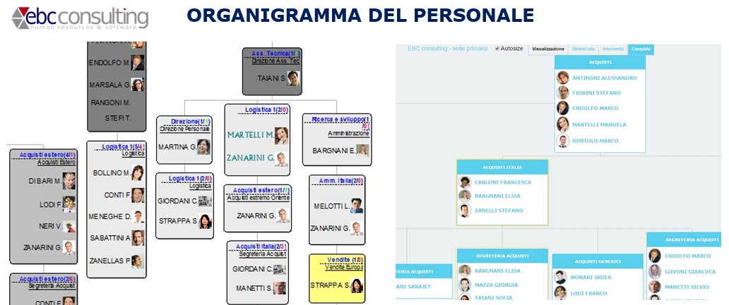 Organigramma del personale organizzazione a matrice h1hrms ebc