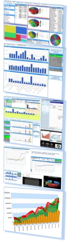 QlikView, immagine di esempio report e staticiche disponibili e realizzabili 