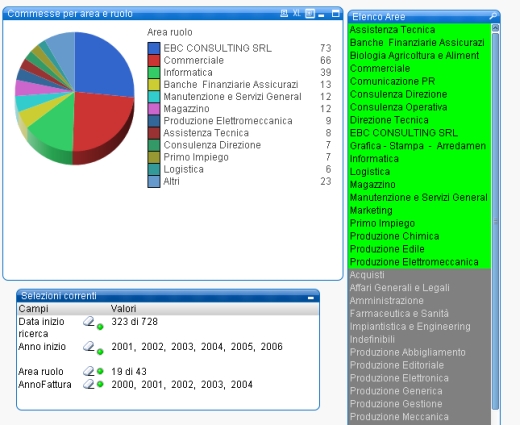 Qlik view business intelligence e Business Analysis risorse umane cruscotti ed indicatori human resources - gestione personale - analisi delle risorse ( qlikview )